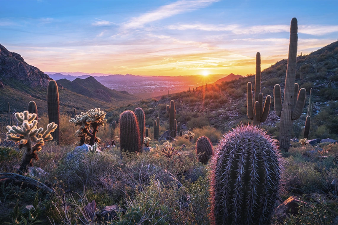 Landscape shot of Arizona desert